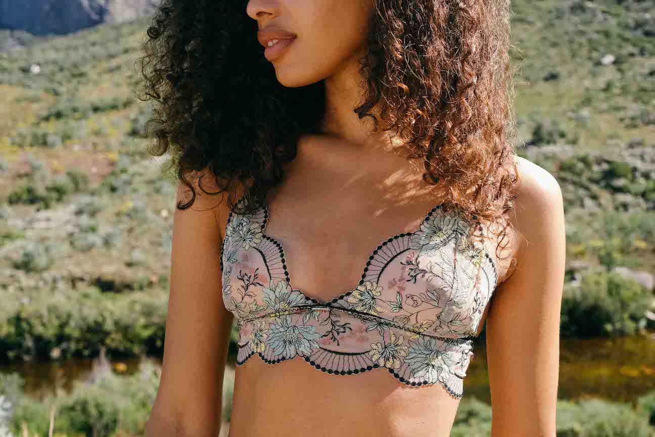 Embroidered Lace Lingerie